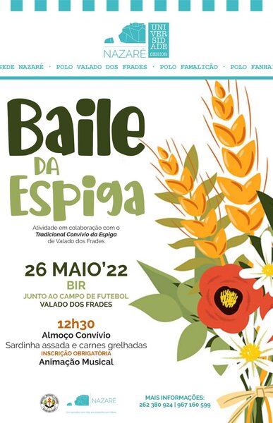 baileespiga