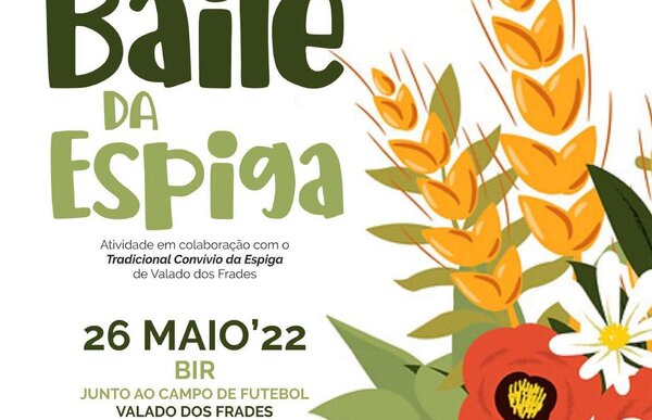 baileespiga