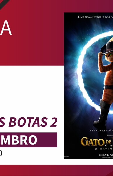 gatodebotas