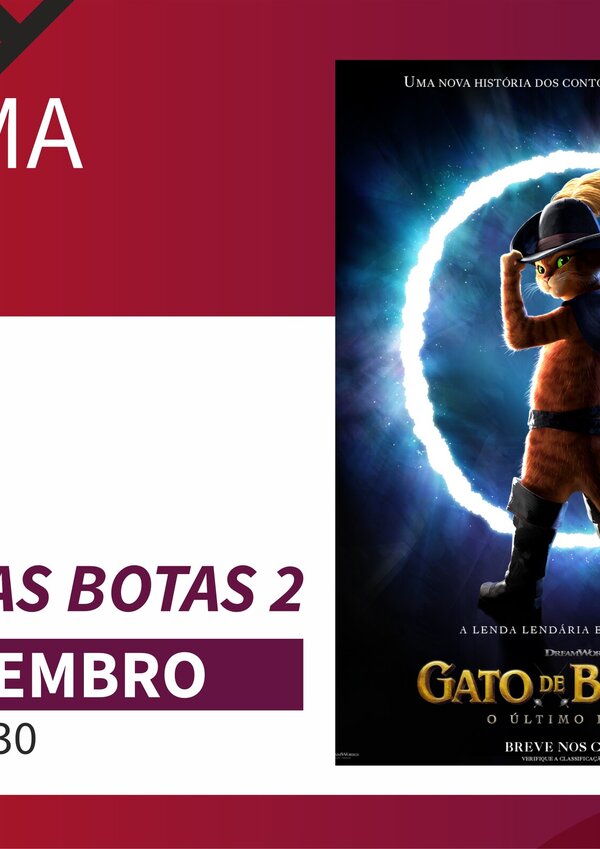 gatodebotas
