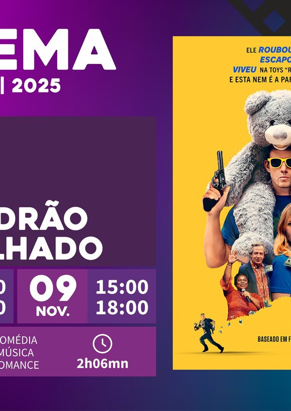 um_ladrao_no_telhado