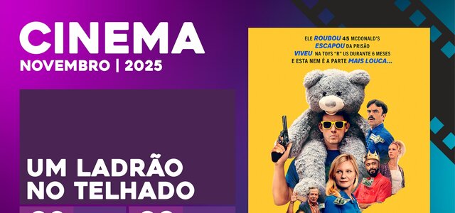 um_ladrao_no_telhado