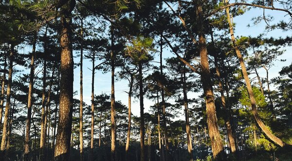 jason_nguyen_ftlm3x_5uwm_unsplash