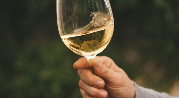 rafael_barquero_buy1okvmcj0_unsplash