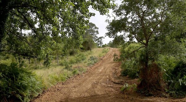 caminhos_rurais_freguesia_de_famalicao_0