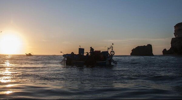 pesca_do_cerco_nazare