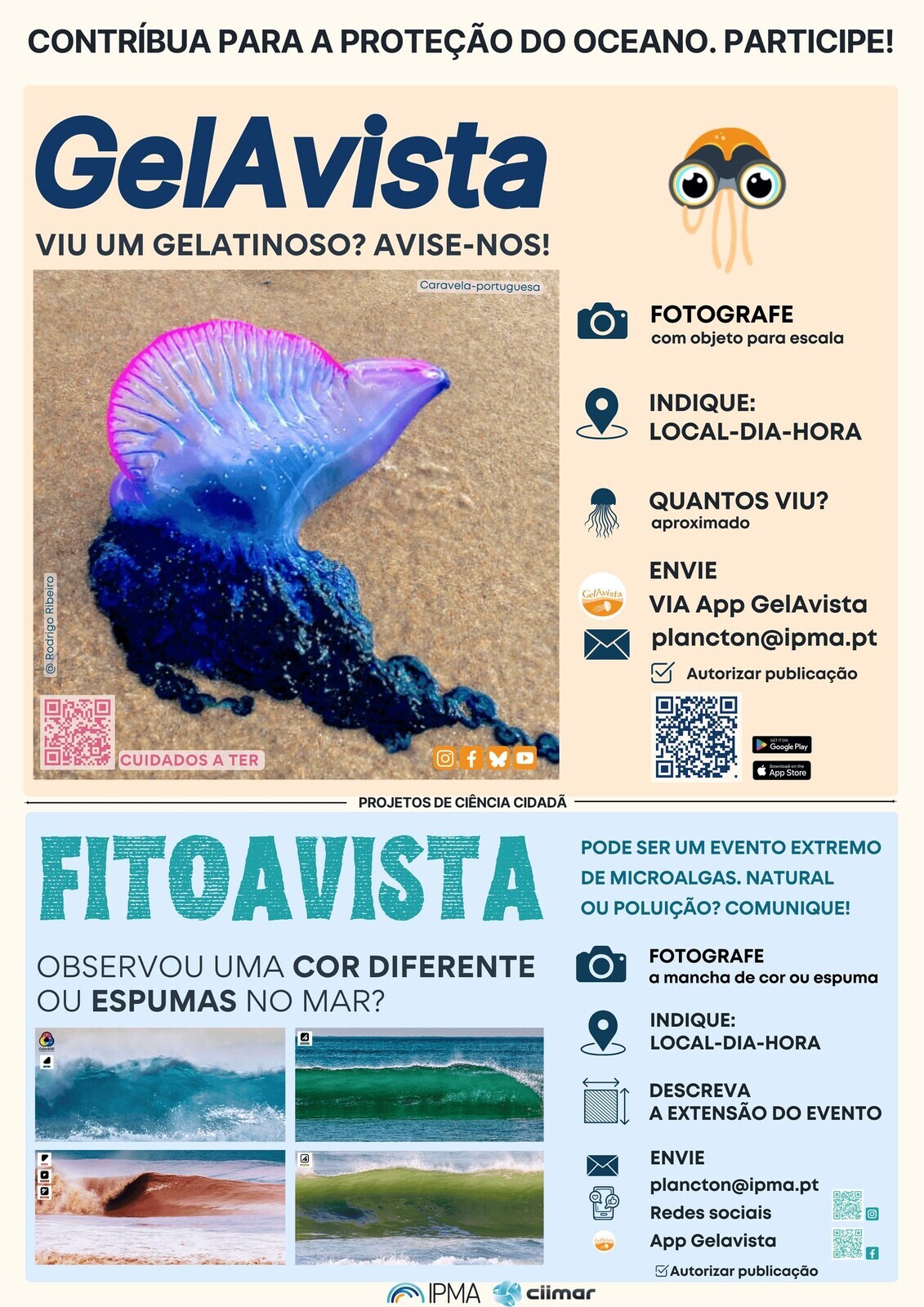 gel_a_vista__cartaz_
