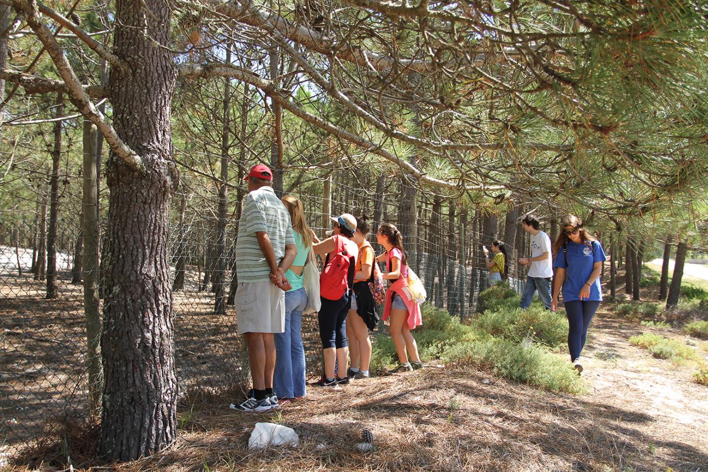 Passeios de Observação da Natureza