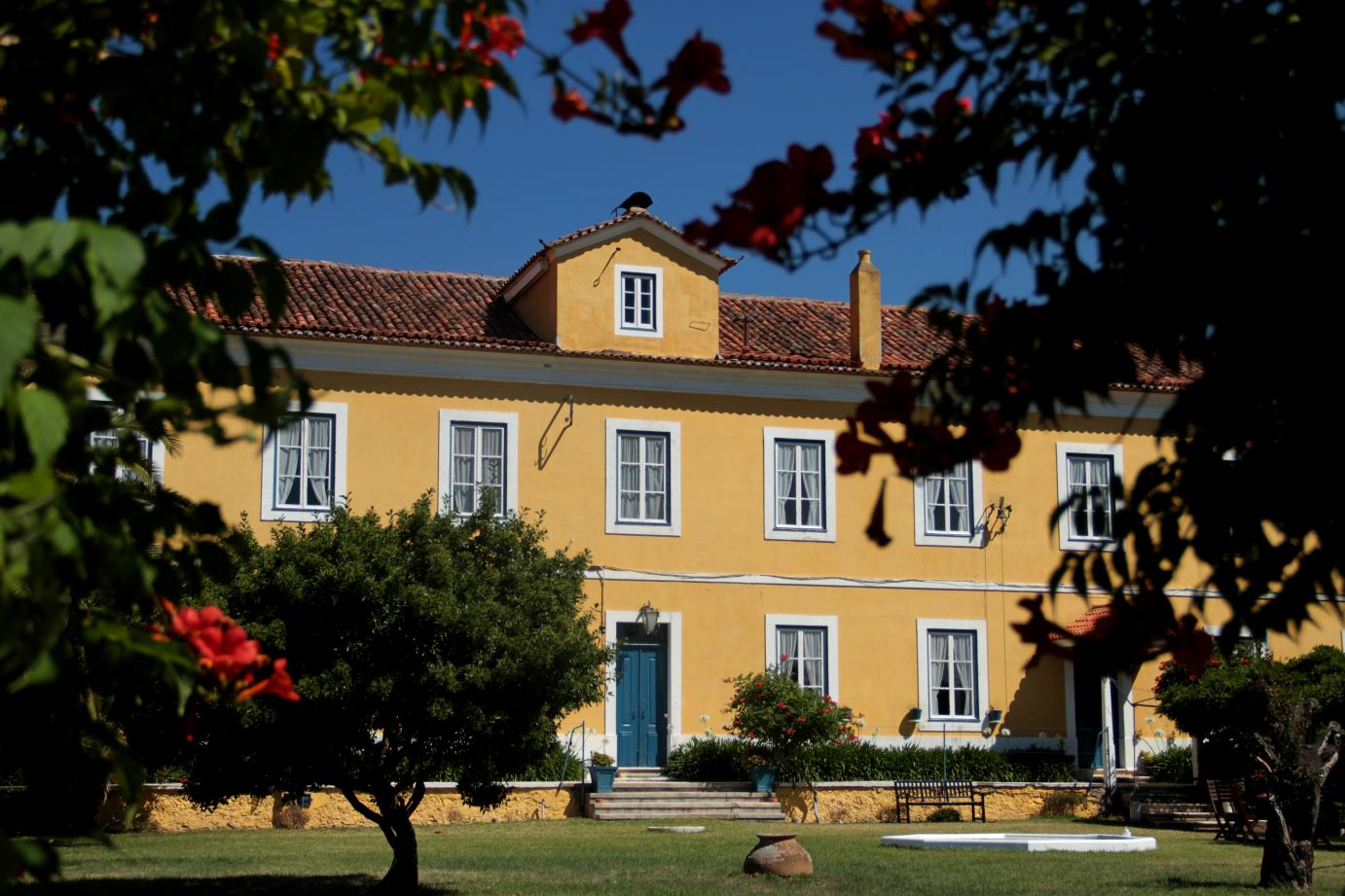 Visitas Guiadas a Valado dos Frades