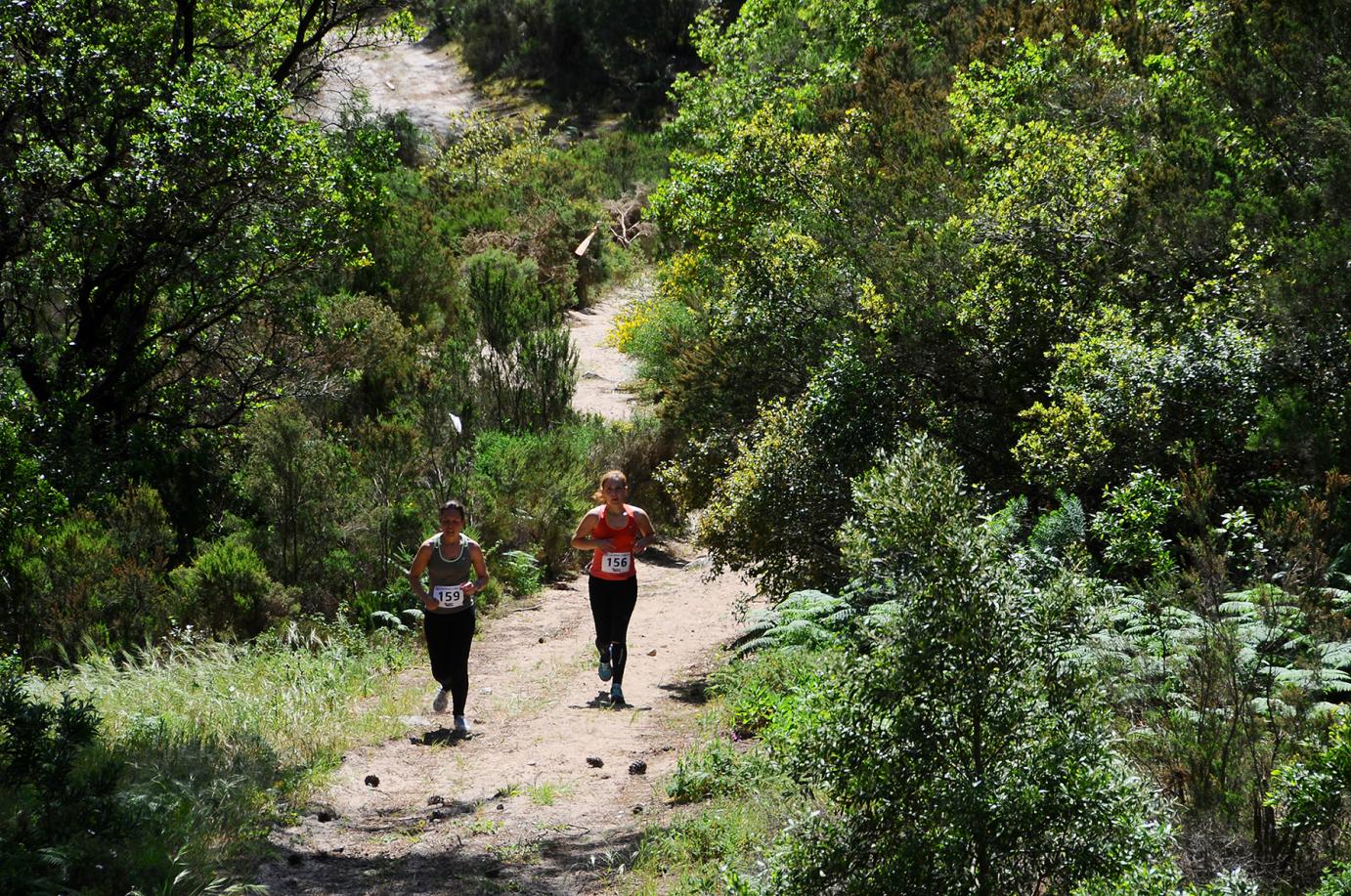 4º Trail Trilhos de S. Bartolomeu