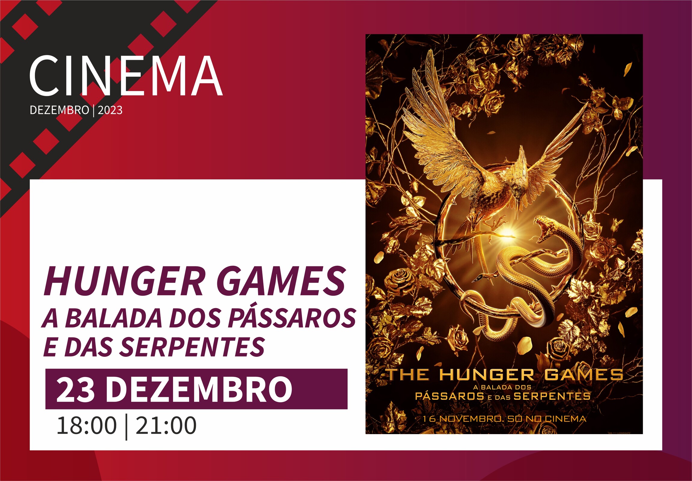 Cinema de dezembro 