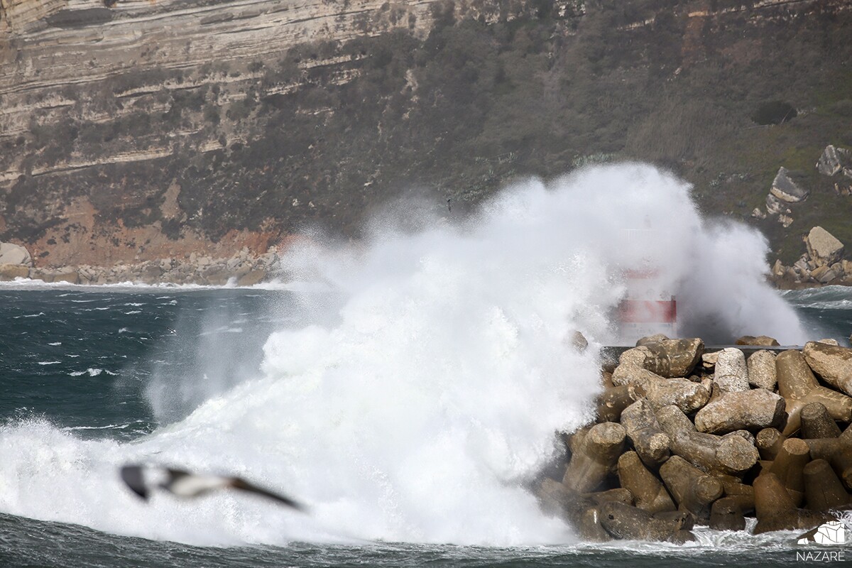 Conselho Local de Adaptação às Alterações Climáticas da Nazaré prepara Plano Municipal