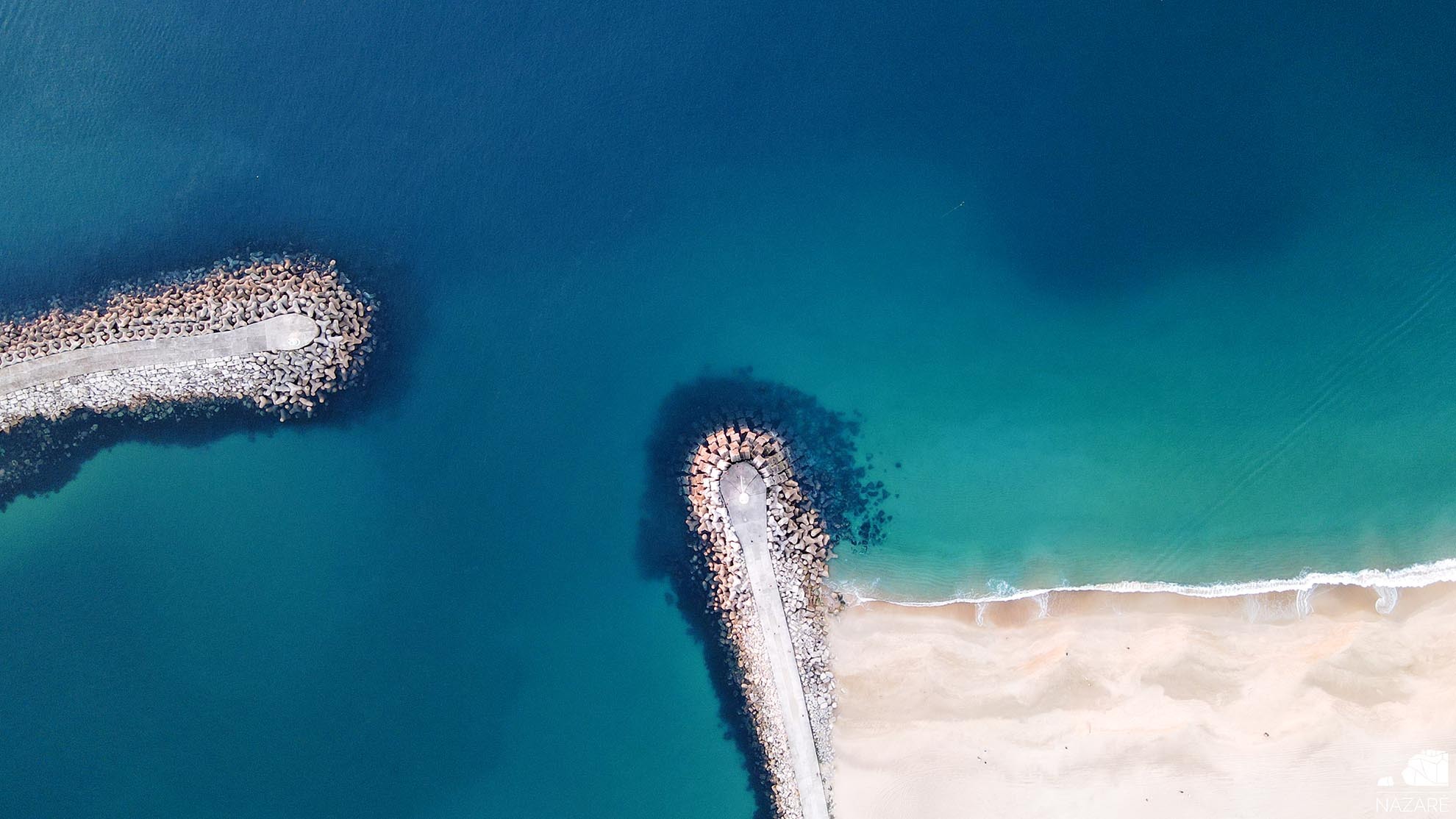 Projeto Piloto de Reflorestação de Macroalgas no Recife Artificial da Nazaré