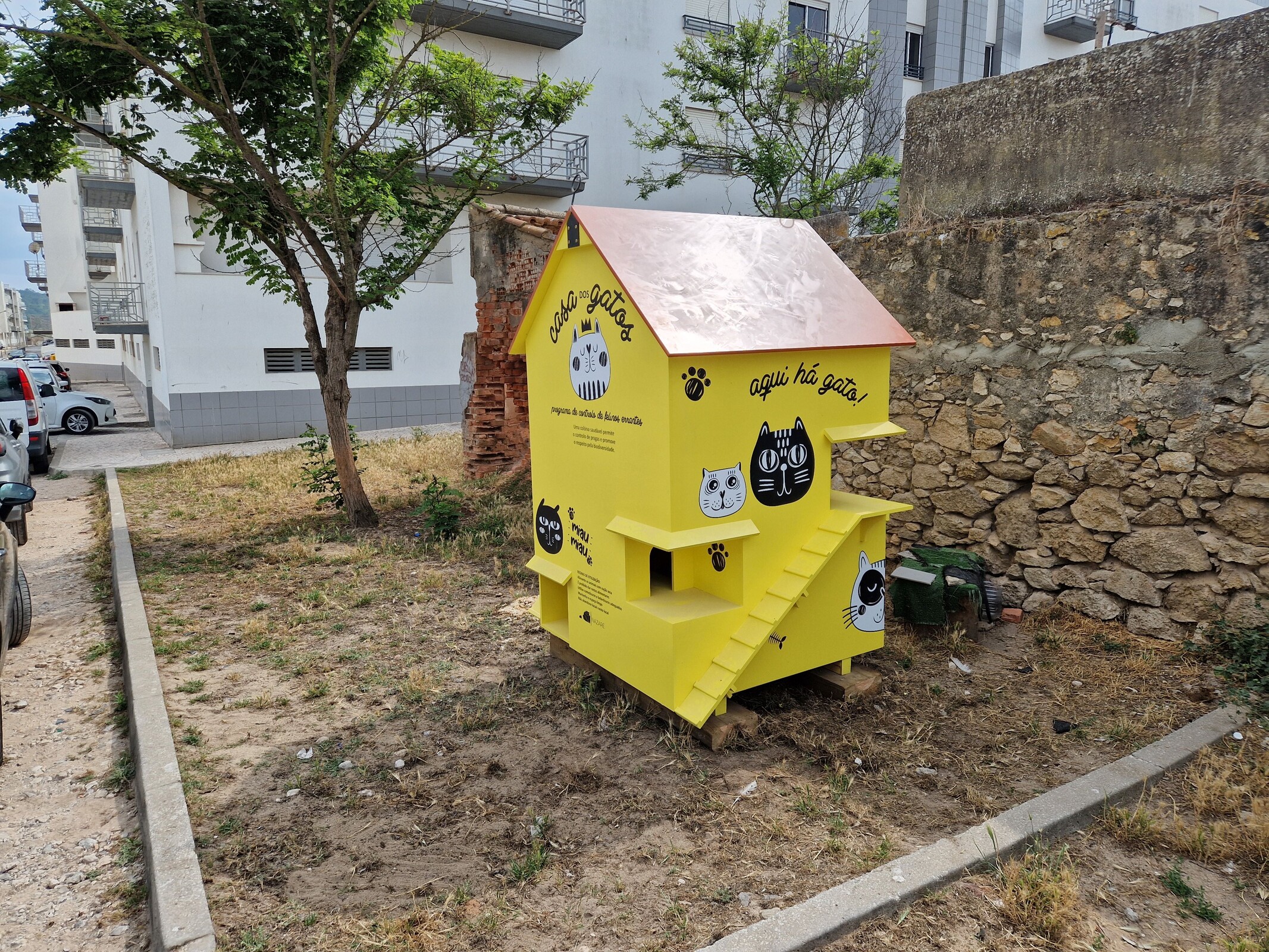 Câmara da Nazaré instala abrigos para colónias de gatos 