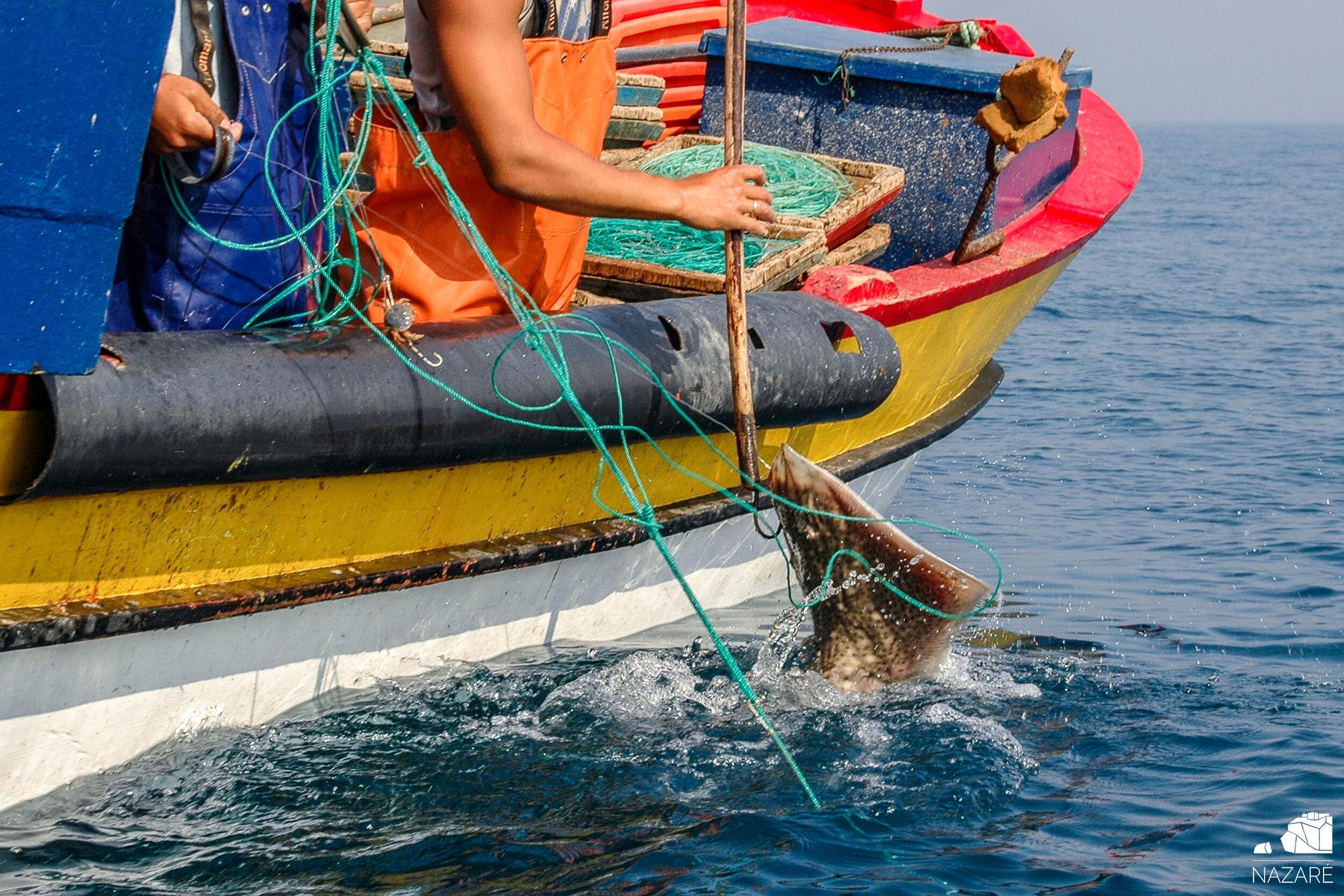 Publicada Portaria para subsídio destinado a reduzir o preço dos combustíveis na pequena pesca ar...