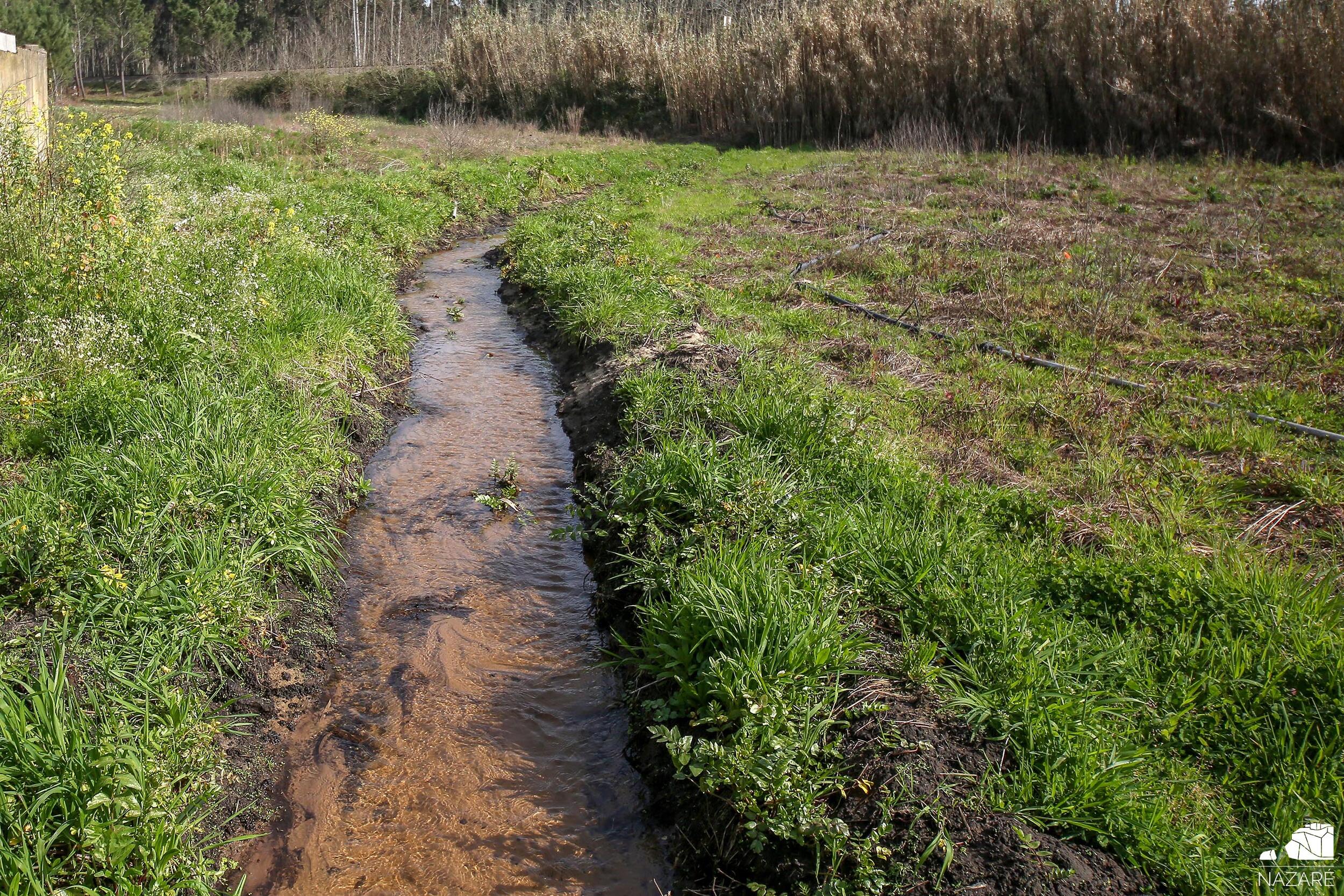 Proprietários e arrendatários devem proceder à Limpeza e desobstrução de cursos de água