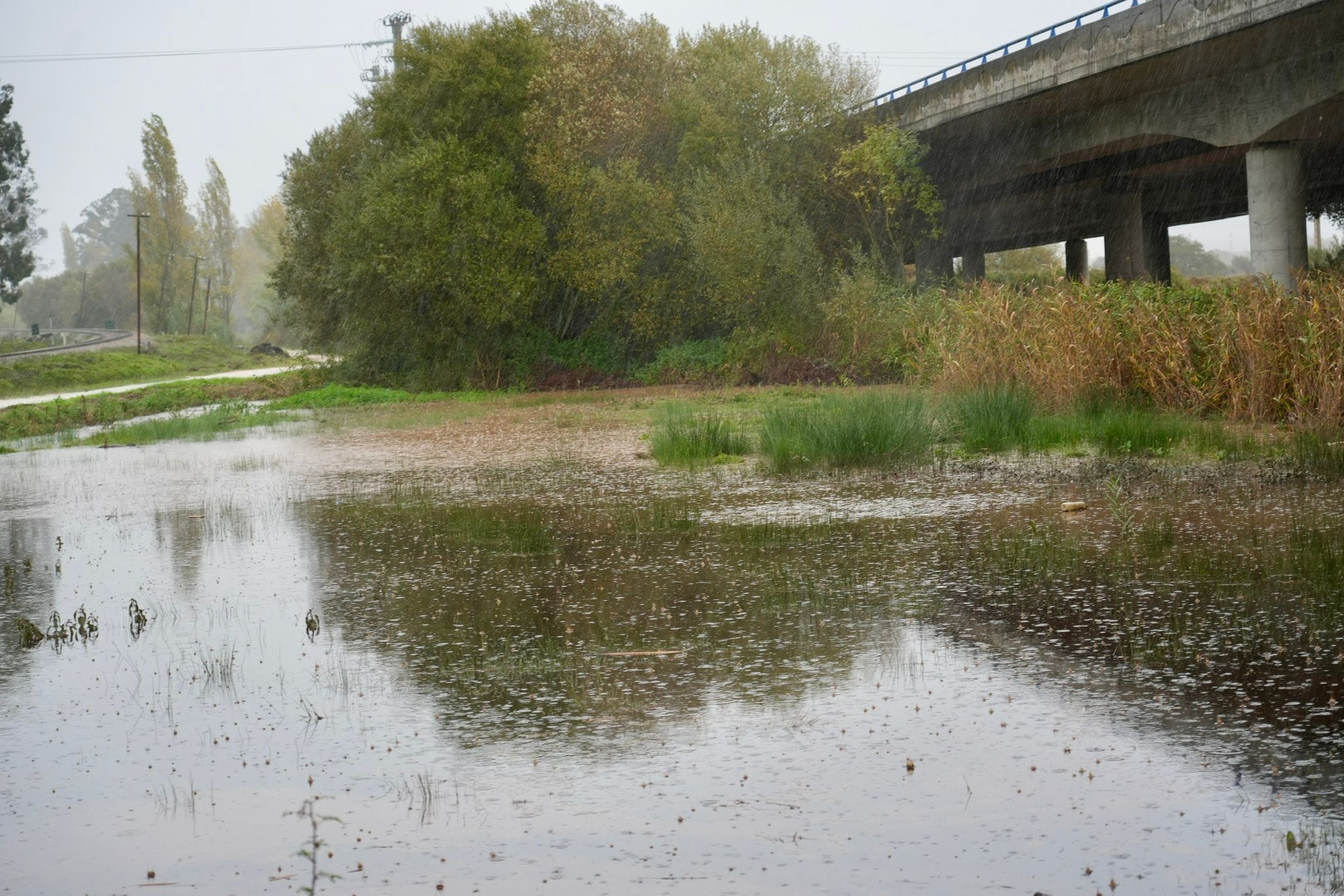Derrame de hidrocarbonetos na Estrada das Valas em Valado dos Frades