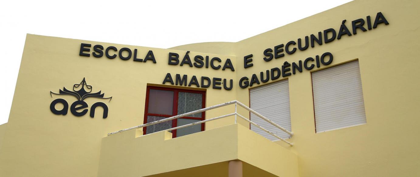 Forças Armadas deram ação de sensibilização e desinfeção na escola secundária da Nazaré