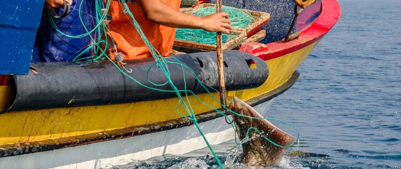 Pesca Artesanal apela a controlo e fiscalização nos preços da venda do pescado