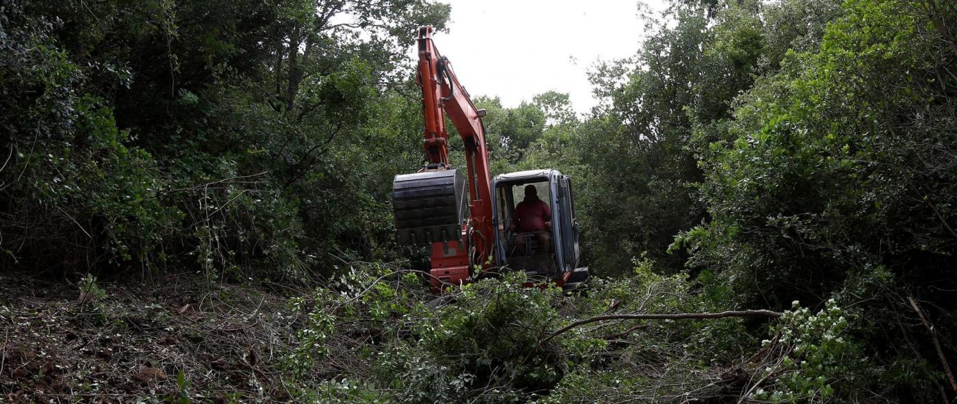 Sessões de esclarecimento sobre limpeza florestal