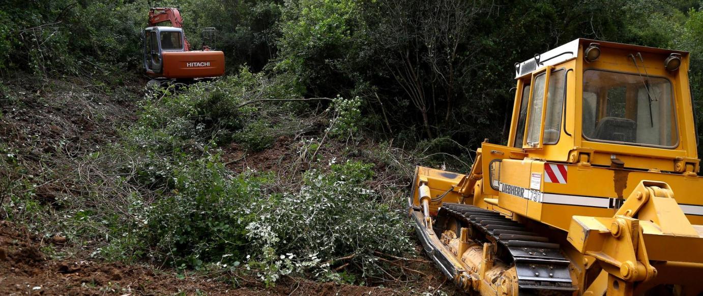 Terrenos devem ser limpos até 15 de março