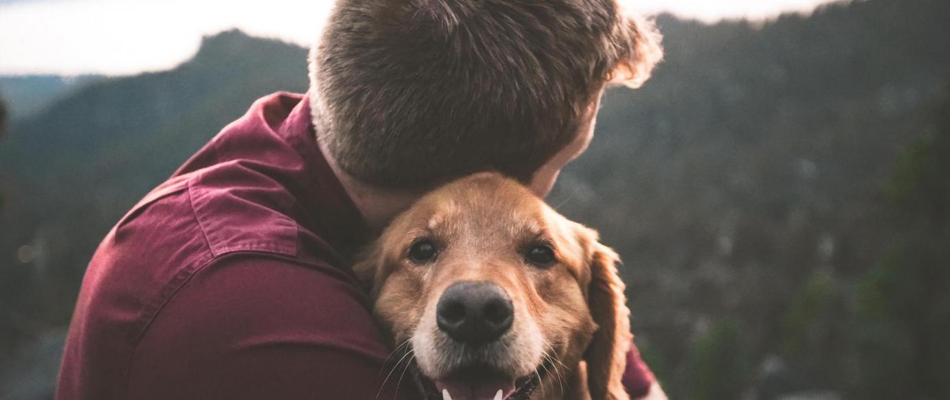 Cãominhada sensibiliza para a limpeza urbana e o não abandono de animais