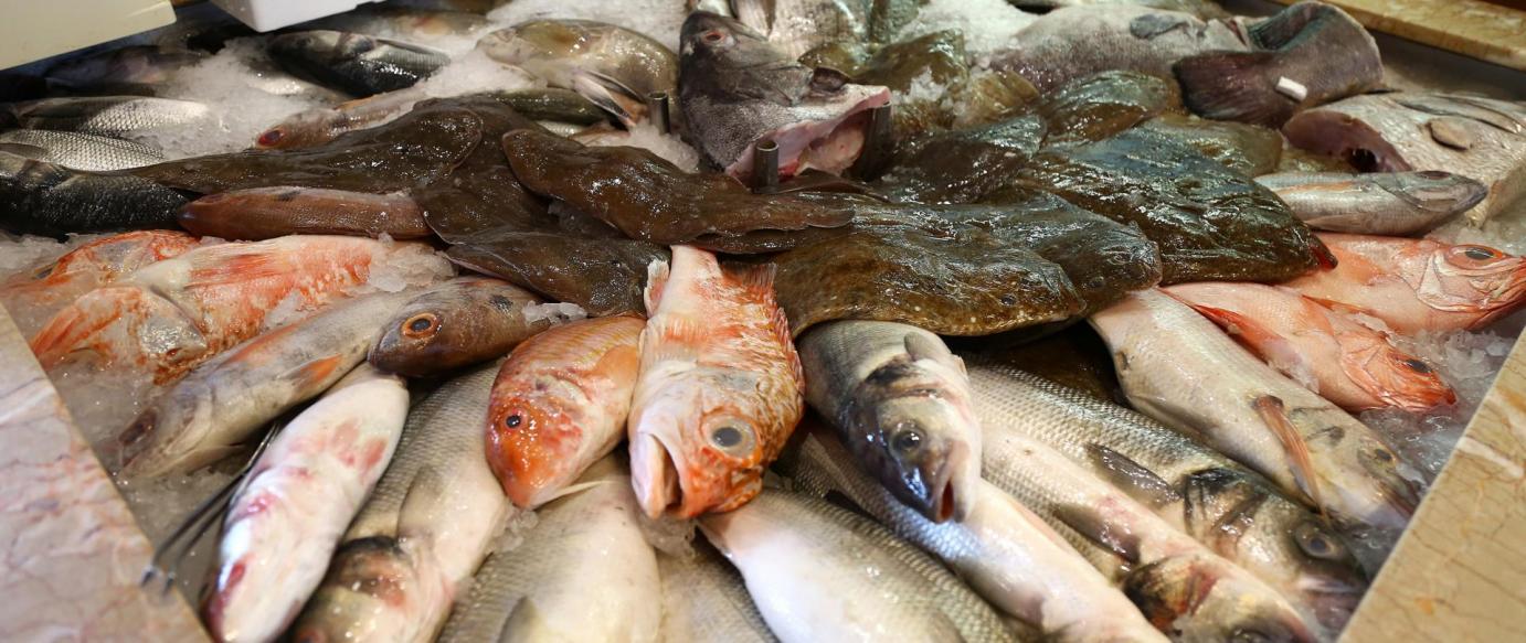 Adesão do Município à Confraria do Peixe aprovada em reunião de Câmara