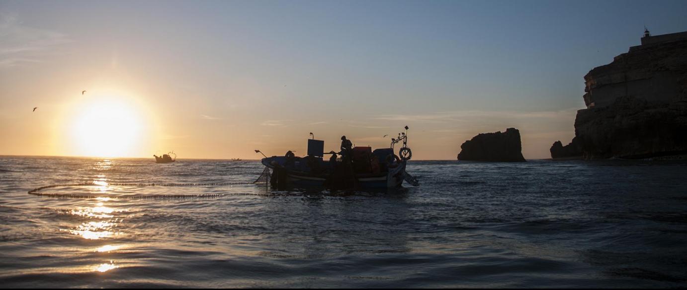 Nazaré propõe manutenção da quota para pesca da sardinha em 2019